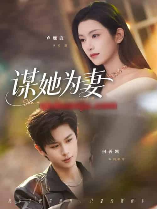 谋她为妻（82集全）何善凯＆卢鹿鹿-海之城短剧项目