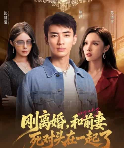 刚离婚和前妻死对头在一起 （73集） - 海之城短剧
