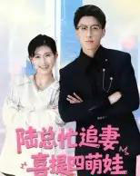 陆总忙追妻喜提四萌娃（60集全）杨晓婷-海之城短剧项目