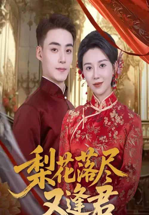 梨花落尽又逢君（61集）孔莹莹＆申阳 - 海之城短剧