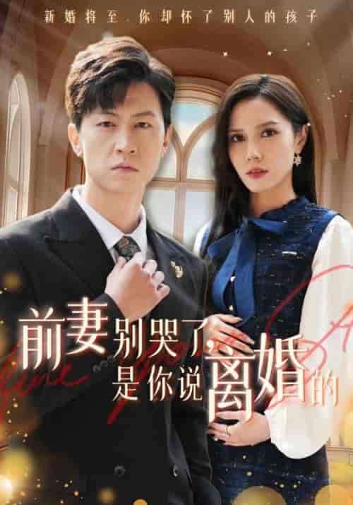 前妻别哭了，是你说离婚的（42集全）陆辰＆柳如烟 - 海之城短剧
