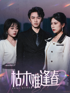 枯木难逢春（30集全）陈外＆孔梦琦 - 海之城短剧