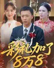 彩礼加了8万8（54集全）张佳琪＆王馨-海之城短剧项目