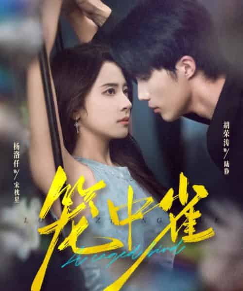 笼中雀（65集全）胡荣涛＆杨洛仟-海之城短剧项目