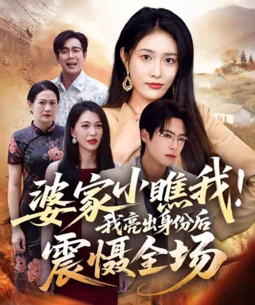 婆家小瞧我！我亮出身份后震慑全场（58集全）刘昌鑫（刘星辰）＆于颢鑫-海之城短剧项目