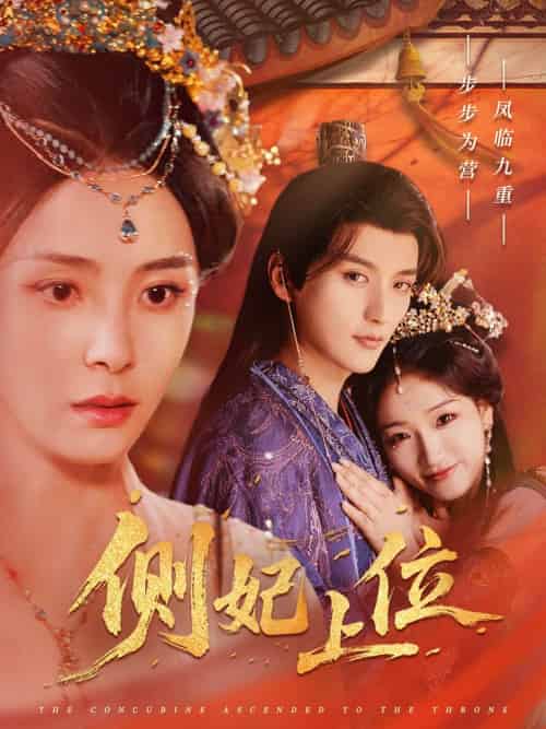 侧妃上位 侧妃上位