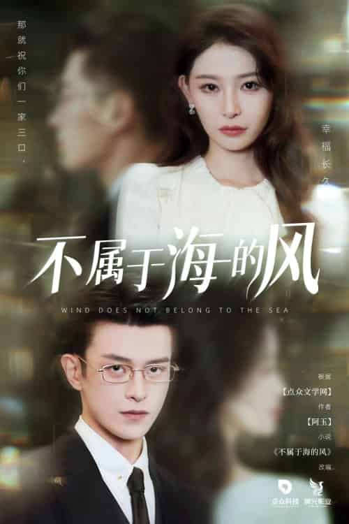 不属于海的风（40集）董炜＆武伯言 - 海之城短剧
