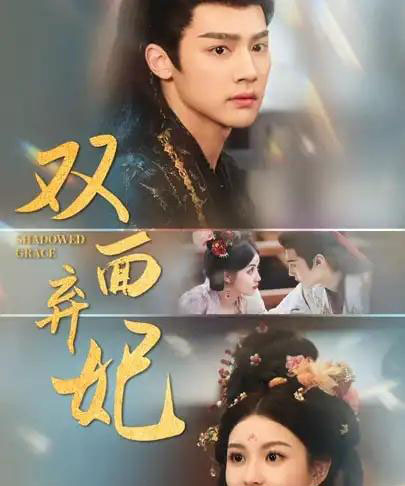 双面弃妃（80集）储子竣＆陈沐琳 - 海之城短剧
