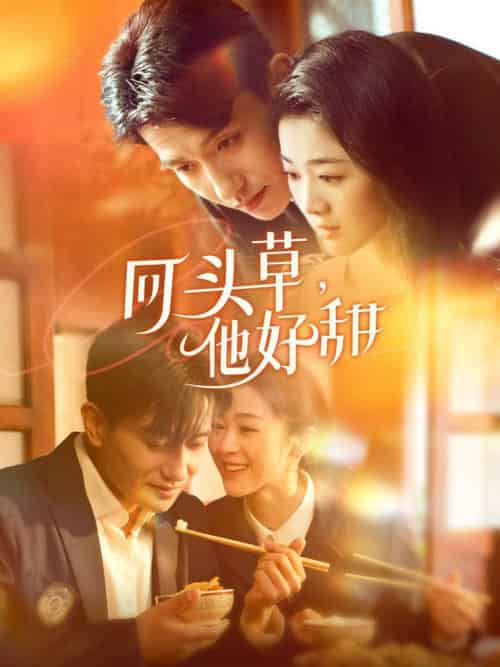 回头草，他好甜（80集全）黄波＆徐思祁 - 海之城短剧