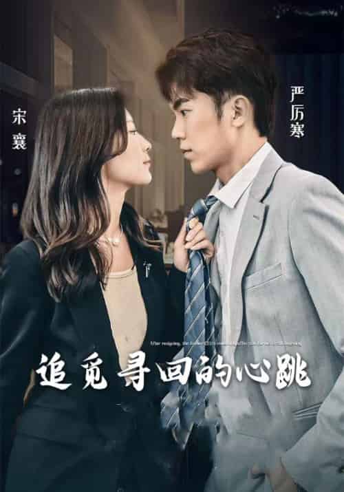 追觅寻回的心跳（100集全）严厉寒＆宋襄-海之城短剧项目