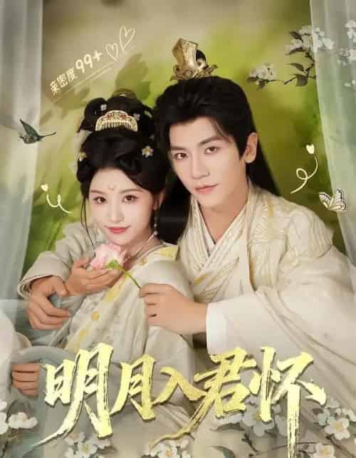 明月入君怀（70集全）安子杨＆李思潼-海之城短剧项目