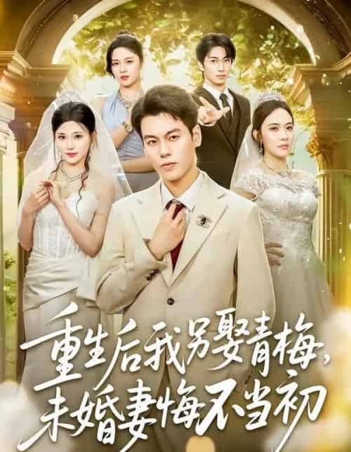 重生后我另娶青梅，未婚妻悔不当初（61集全）刘煜烨＆胡蝶＆张兮樾-海之城短剧项目