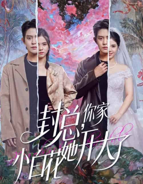 封总，你家小白花她开大了＆大佬你的牙粘口红了（60集全）王朝阳＆邓燕妮-海之城短剧项目