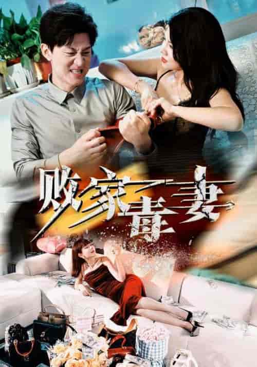败家毒妻（32集全）汪天予 - 海之城短剧