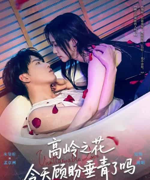 高岭之花今天顾盼垂青了吗（82集）朱旻昕＆吴纯一-海之城短剧项目