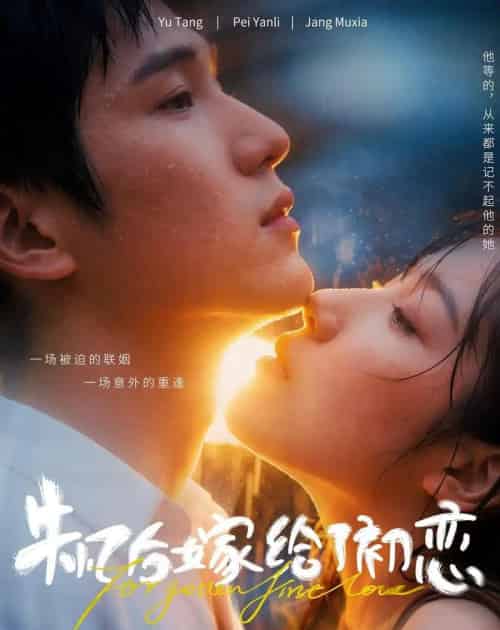 失忆后嫁给了初恋（10集全）AI-海之城短剧项目
