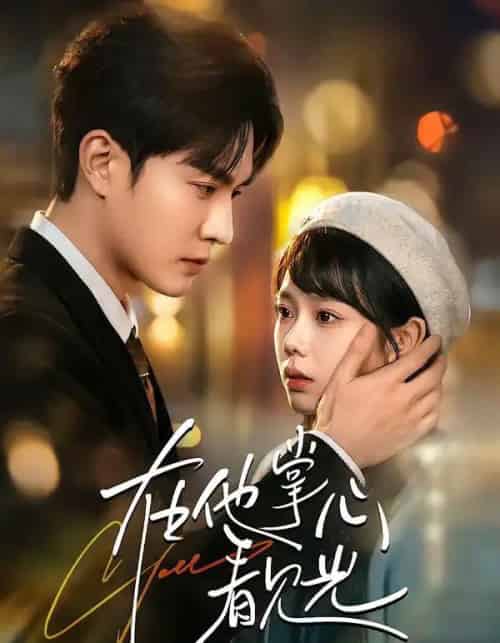 在他掌心看见光（99集全）周玉玲＆陈天晓-海之城短剧项目