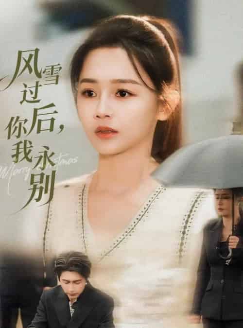 风雪过后，你我永别（51集全）王禹润＆郑湘敏-海之城短剧项目