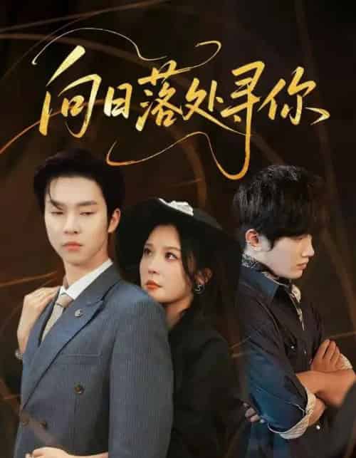 向日落处寻你（70集全）李明＆邓嘉伦-海之城短剧项目