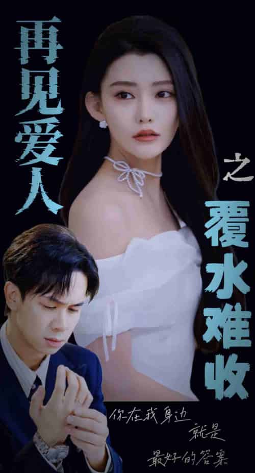 再见爱人之覆水难收（30集全）李雅静 - 海之城短剧