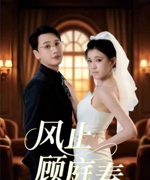 风止顾庭春（51集全）陈奕木＆贾熙宁-海之城短剧项目