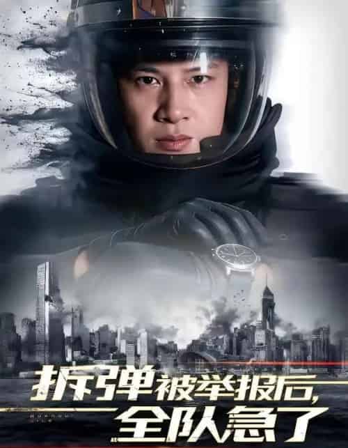 拆弹被举报后，全队急了（50集全）彭凌＆邰靖懿-海之城短剧项目