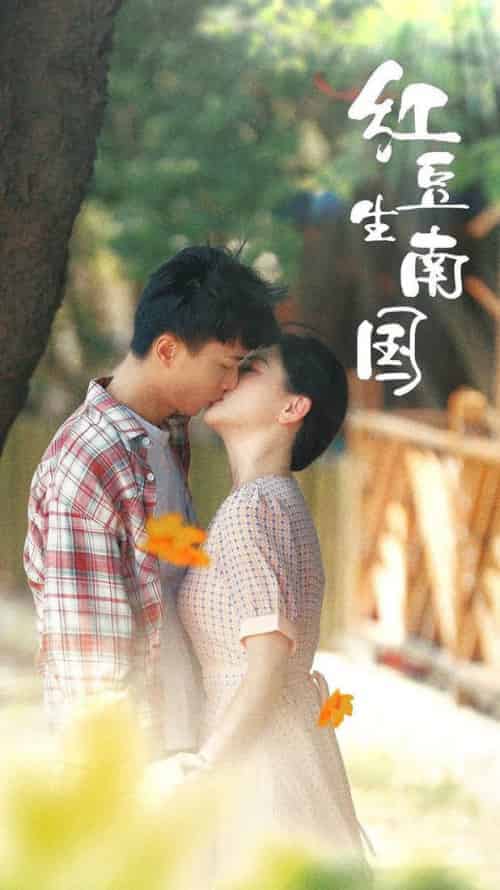 红豆生南国（53集全）常丹丹 - 海之城短剧