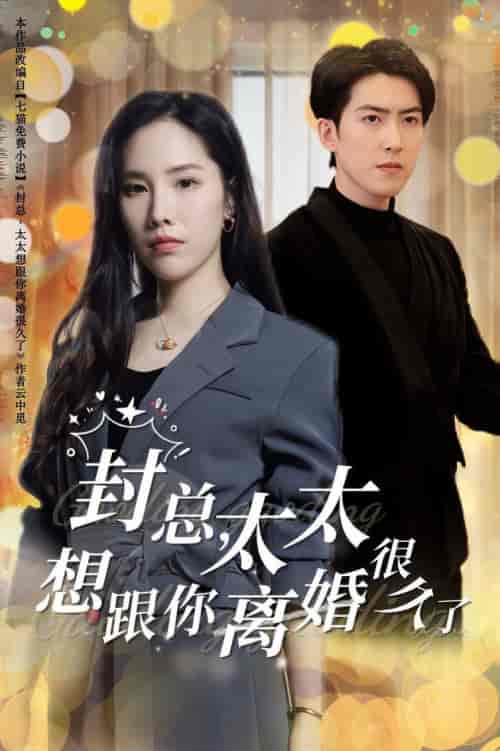 封总太太想跟你离婚很久了（47集全） - 海之城短剧
