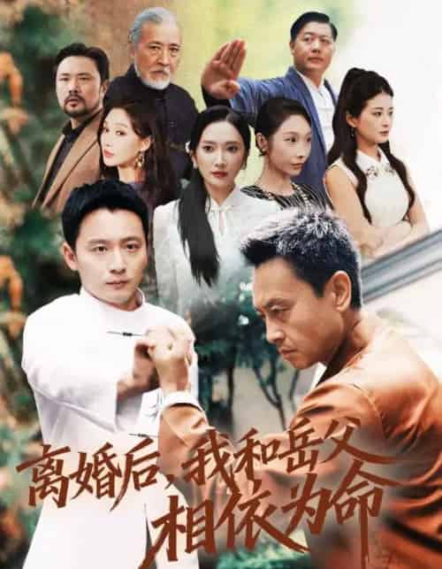 离婚后，我和岳父相依为命（71集全）何其炜＆刘思伶-海之城短剧项目