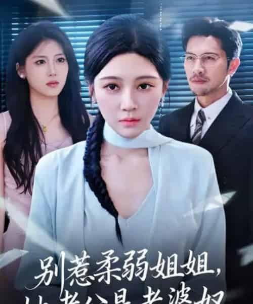 别惹柔弱姐姐，她老公是老婆奴 （63集全） 谢晚吟＆吴城伟-海之城短剧项目