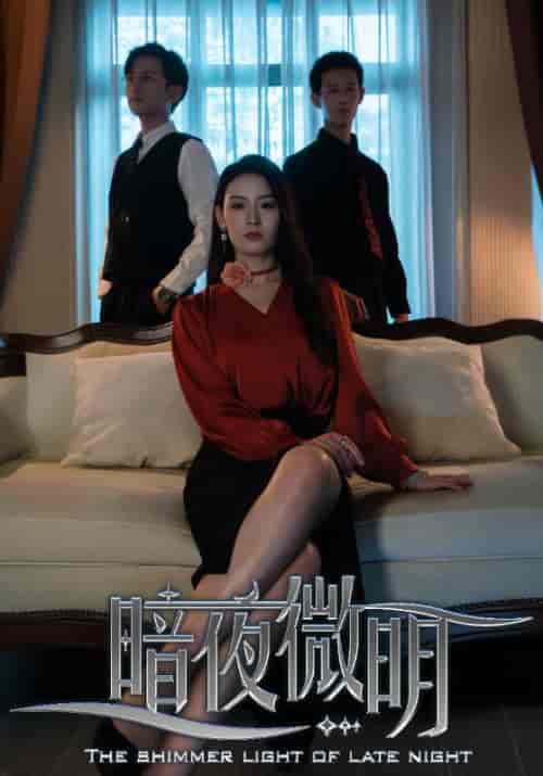 暗夜微明（70集全）傅宴＆吴青青 - 海之城短剧