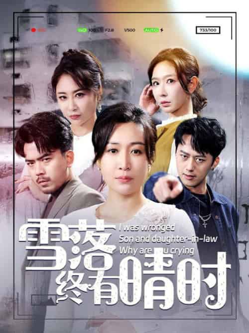 雪落终有晴时（80集全）王妍 - 海之城短剧