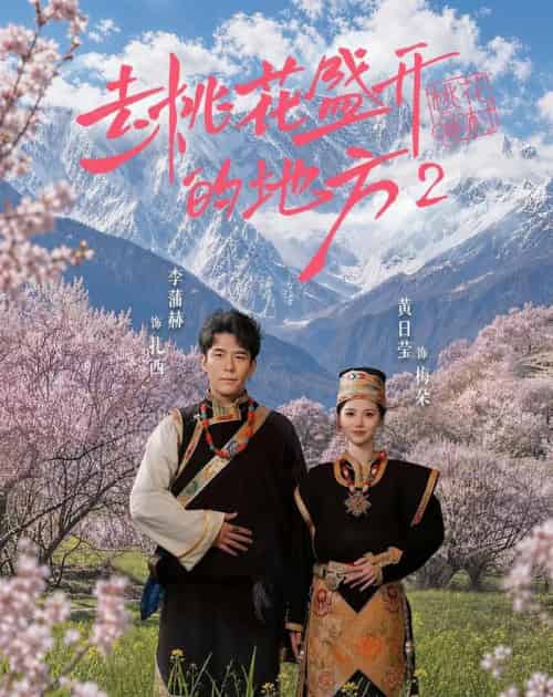 去桃花盛开的地方2 去桃花盛开的地方2
