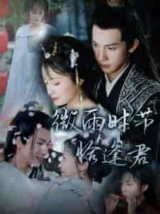 微雨时节恰逢君（82集全） - 海之城短剧