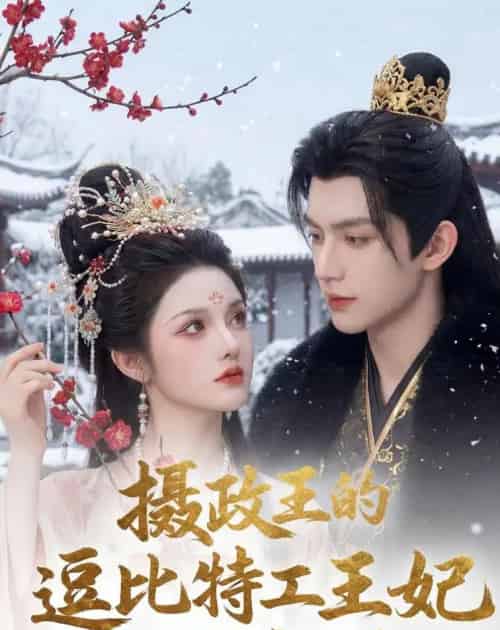 摄政王的逗比特工王妃又闯祸了（78集全）AI-海之城短剧项目