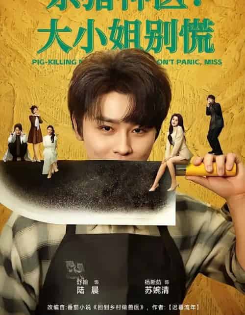 杀猪神医：大小姐别慌（80集全）舒瀚＆杨晰茹-海之城短剧项目