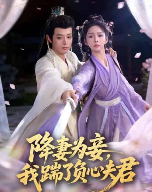 降妻为妾，我踹了负心夫君（49集全）高铭晞＆梁翊程-海之城短剧项目