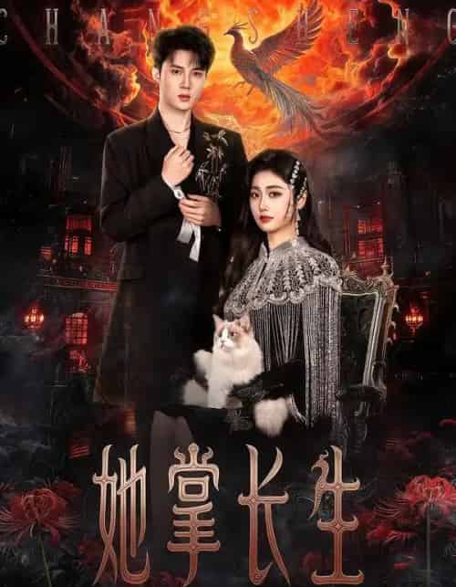 她掌长生（63集全）高子怡＆陈子昂-海之城短剧项目