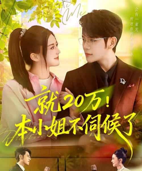 就20万！本小姐不伺候了（60集全）杨彦光＆李家圆子 - 海之城短剧
