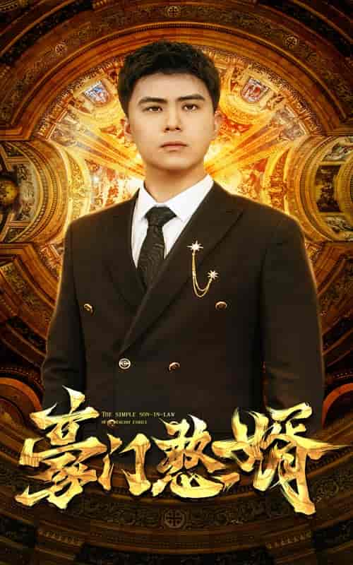豪门憨婿（61集） - 海之城短剧