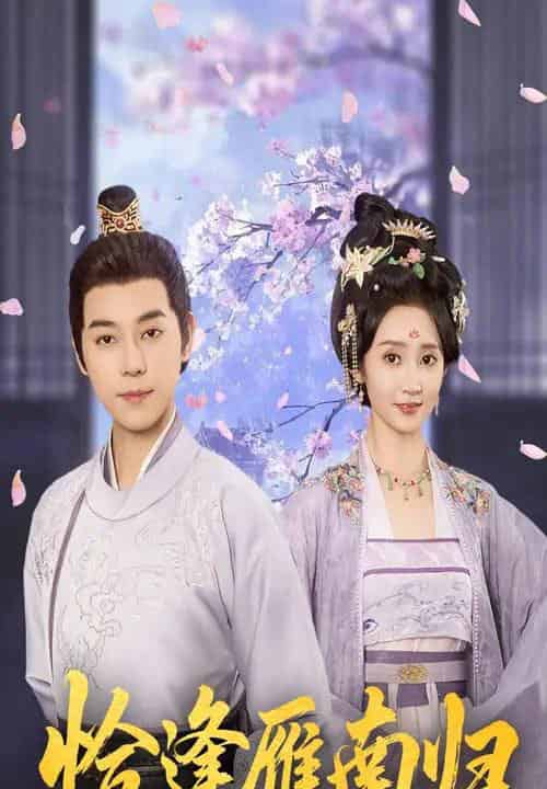 恰逢雁南归（51集）袁志颖＆魏小也 - 海之城短剧