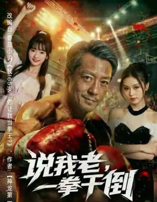 说我老，一拳干倒（81集全）李宗峄＆金美希-海之城短剧项目