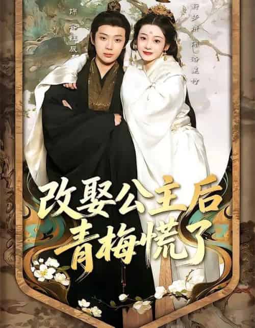 改娶公主后青梅慌了（50集全）辰星＆蔚梦妍-海之城短剧项目