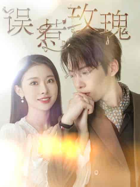 误惹玫瑰（66集全）张乃歌＆袁祎晴 - 海之城短剧