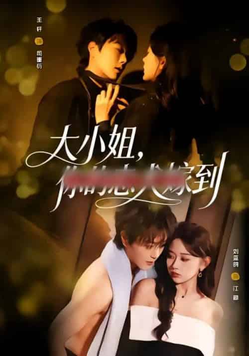 大小姐，你的忠犬嫁到（80集全）王轩＆刘蓝鸽-海之城短剧项目