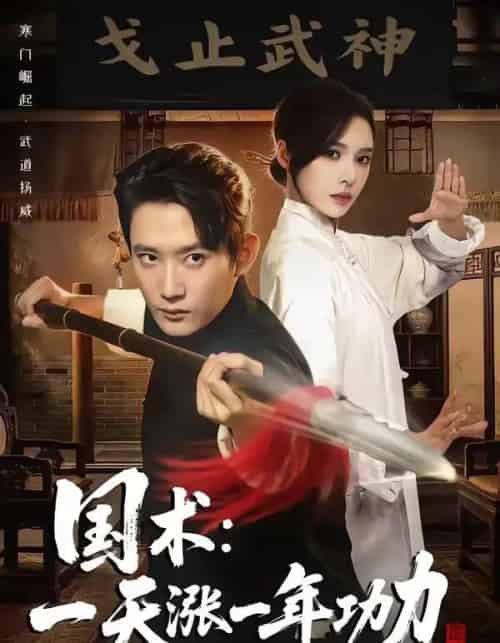 国术，一天涨一年功力（66集全）江宇顺＆刘金妍-海之城短剧项目