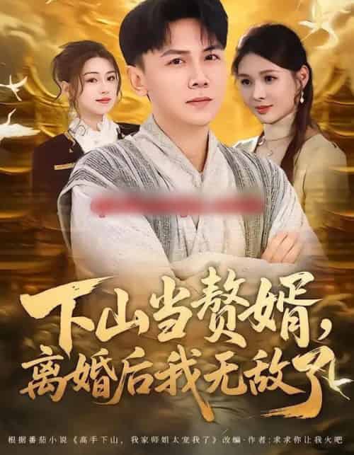 下山当赘婿，离婚后我无敌了（73集全）袁臻颢＆周思竹-海之城短剧项目