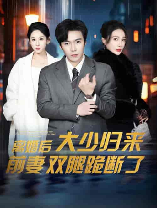 离婚后大少归来前妻双腿跪断了（67集全） - 海之城短剧