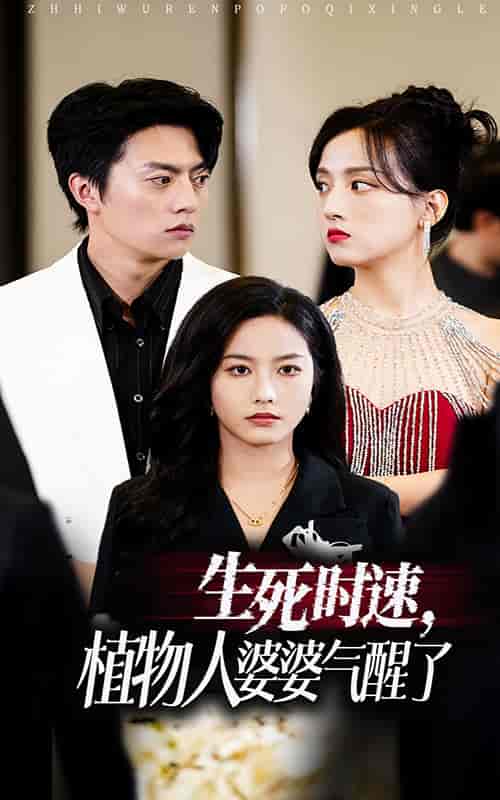 生死时速植物人婆婆气醒了（37集全） - 海之城短剧