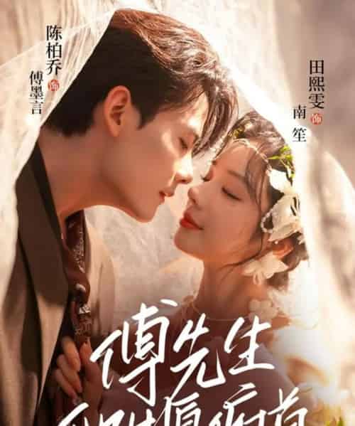 傅先生他甘愿俯首（61集全）陈刚（陈柏乔）＆田熙雯-海之城短剧项目